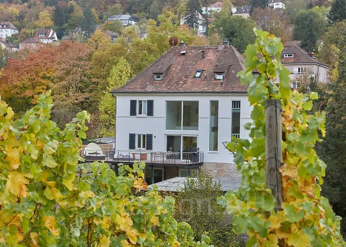 Stadtnah Im Dg