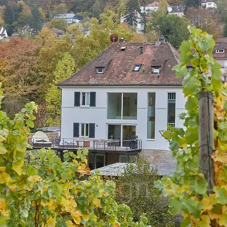 Stadtnah Im Dg